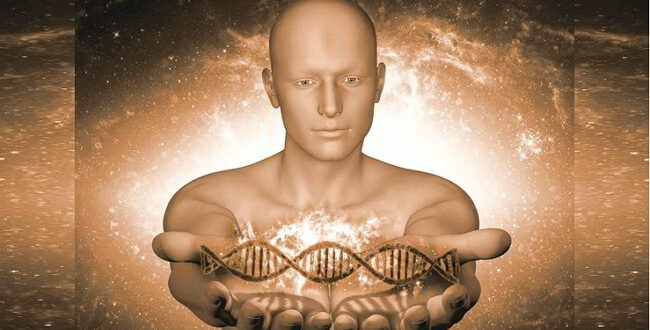 геном картинка